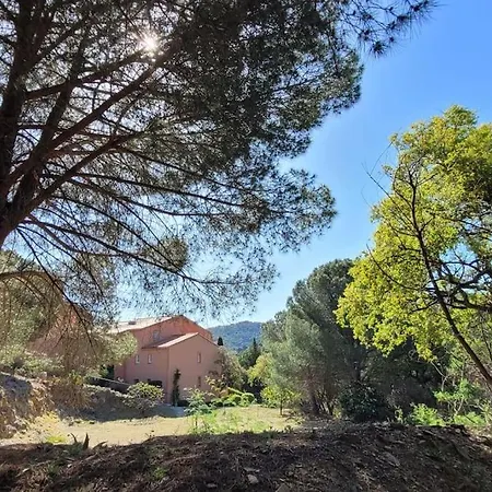 Ma Cabane Collioure Exterior photo