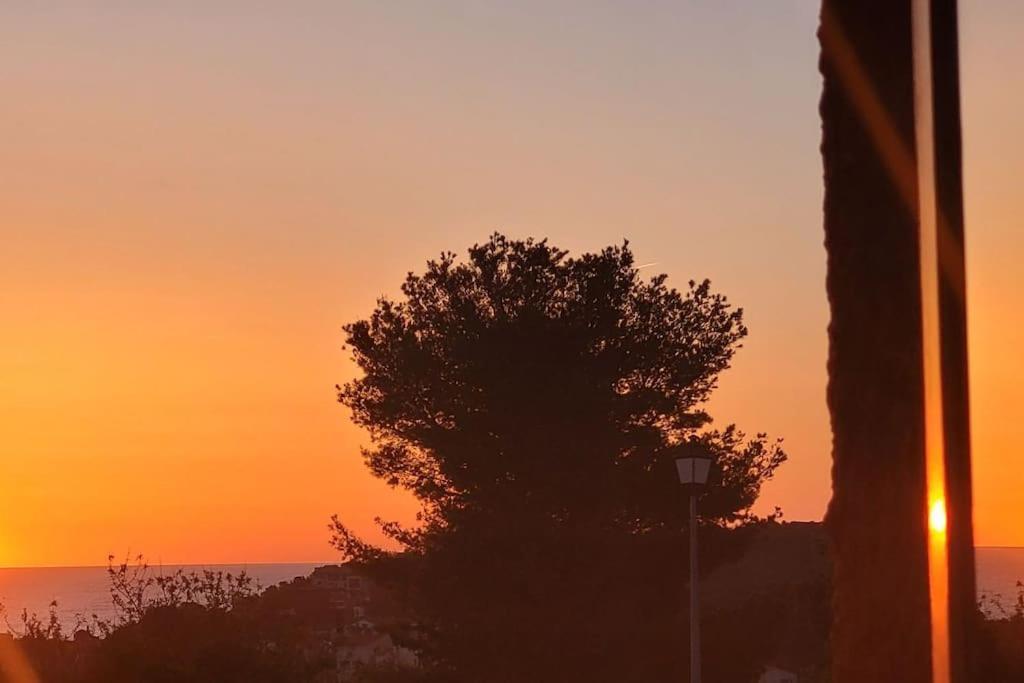 Apartment Ma Collioure